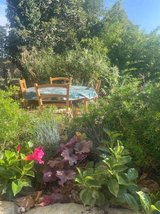 Gite Mas Provencal Тараскон Екстериор снимка