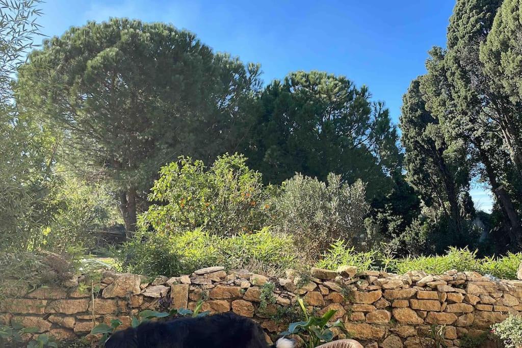 Gite Mas Provencal Тараскон Екстериор снимка