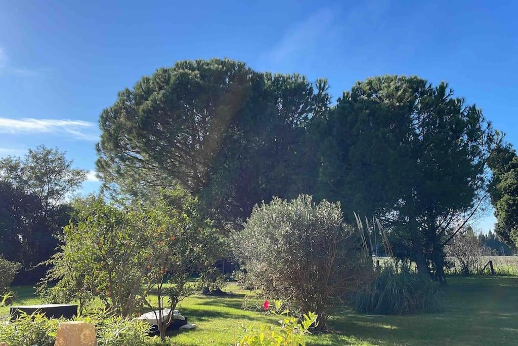 Gite Mas Provencal Тараскон Екстериор снимка