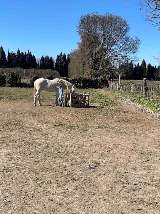 Gite Mas Provencal Тараскон Екстериор снимка